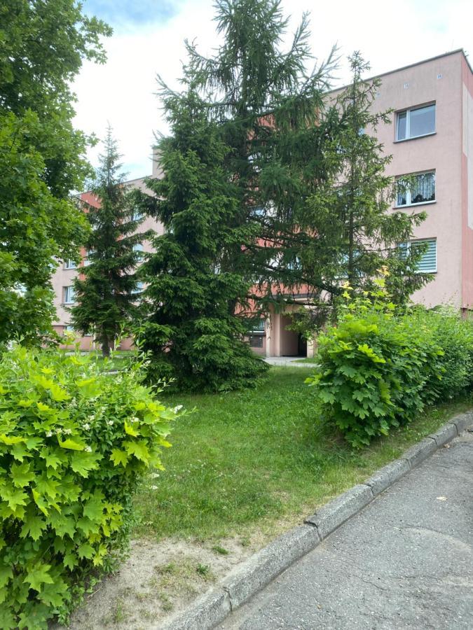 Zb Apartment Beige Piekary Slaskie Exterior foto